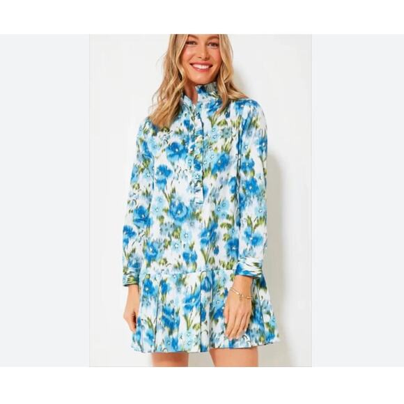 TUCKERNUCK Tate Ikat Blue Green Mini Ruffle Pleated Cotton Poplin Shirt Dress S - Picture 3 of 13